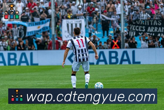 云开手机版登录入口荣誉