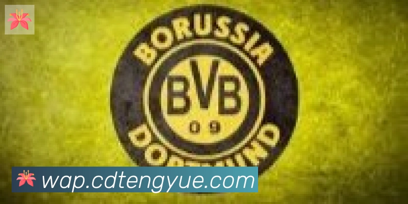 云开手机版登录入口合作伙伴