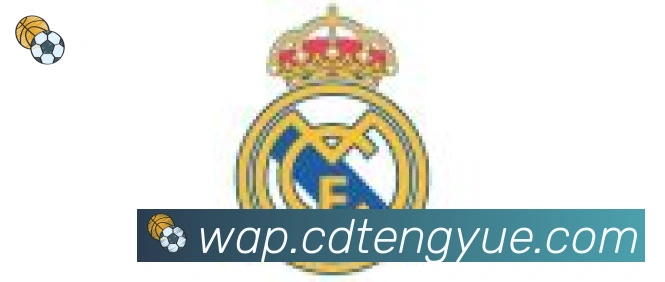 云开手机版登录入口合作伙伴