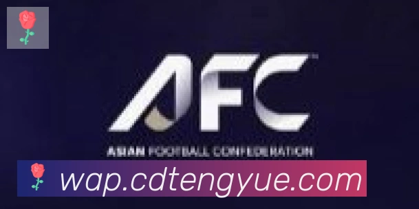 云开手机版登录入口合作伙伴